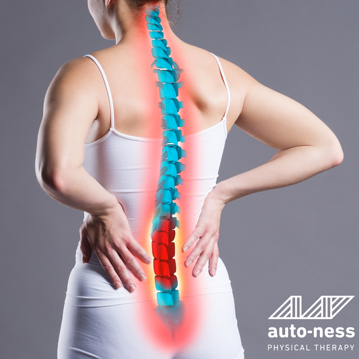 Runner's Guide: Spinal Health & Performance