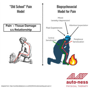 Understanding Pain A Holistic Approach for Active Adults